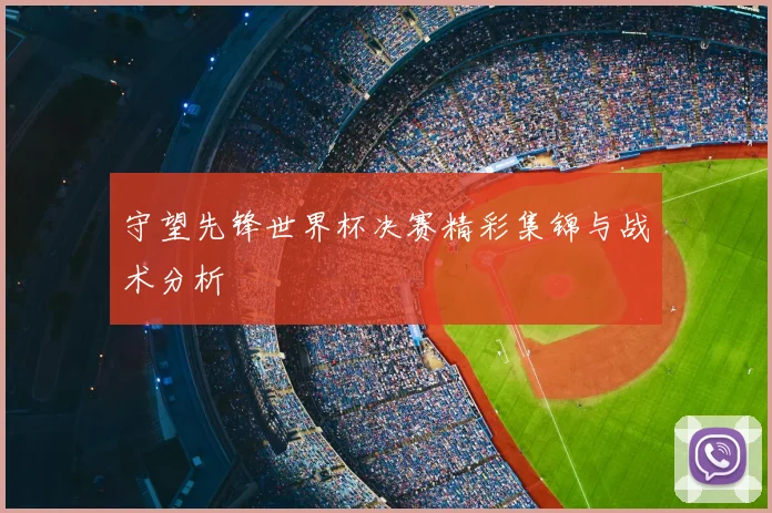 守望先锋世界杯决赛精彩集锦与战术分析