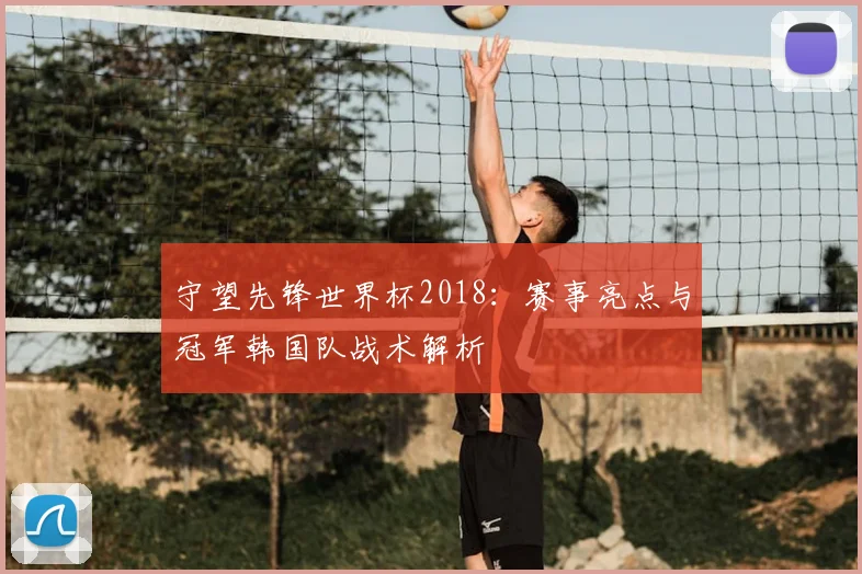 守望先锋世界杯2018：赛事亮点与冠军韩国队战术解析