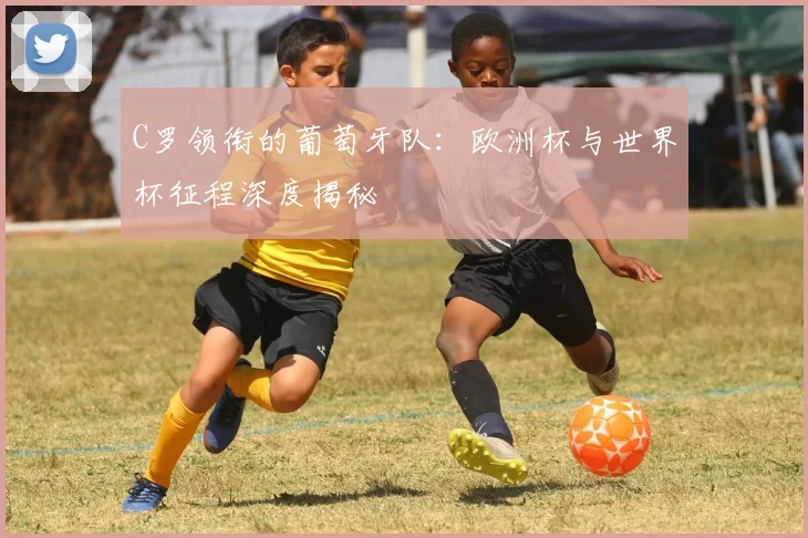 C罗领衔的葡萄牙队：欧洲杯与世界杯征程深度揭秘
