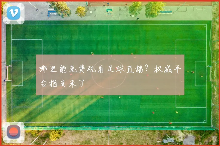哪里能免费观看足球直播?权威平台指南来了