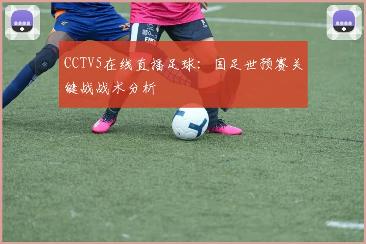 CCTV5在线直播足球：国足世预赛关键战战术分析