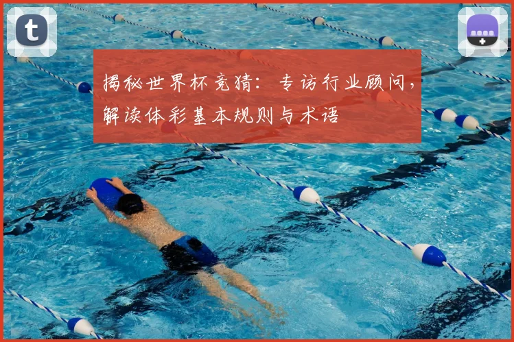 揭秘世界杯竞猜：专访行业顾问，解读体彩基本规则与术语