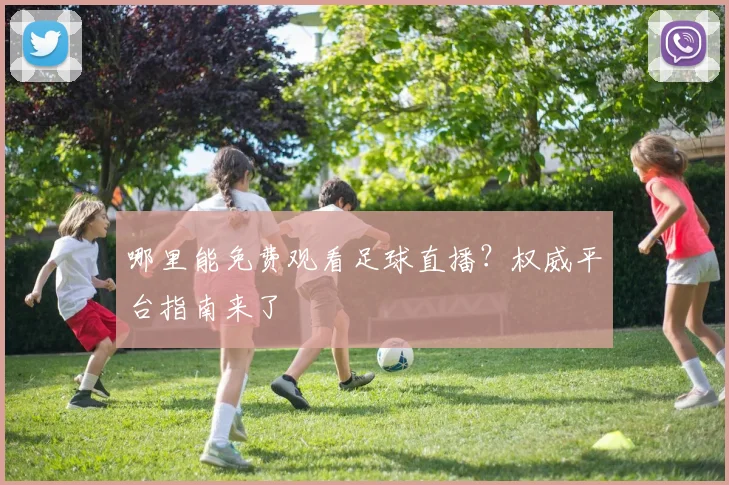 哪里能免费观看足球直播？权威平台指南来了