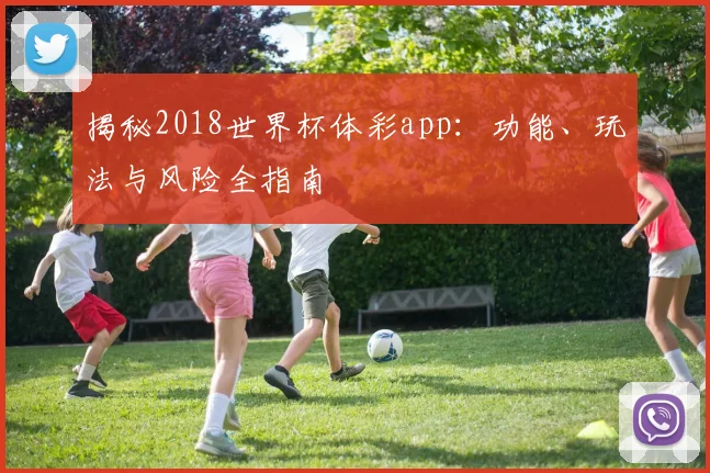 揭秘2018世界杯体彩app:功能、玩法与风险全指南