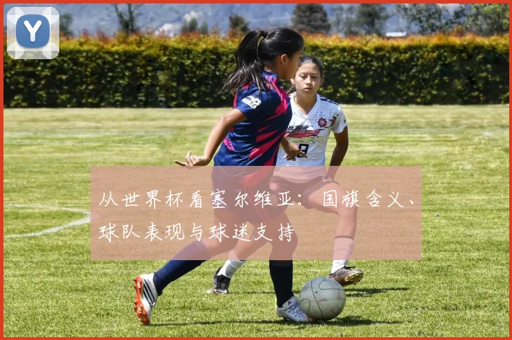 从世界杯看塞尔维亚：国旗含义、球队表现与球迷支持