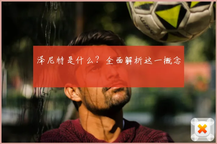 泽尼特是什么？全面解析这一概念