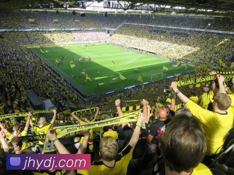 必一运动b官网APP 体育赛事宣传图